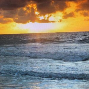 Meet your Posher, Chadd